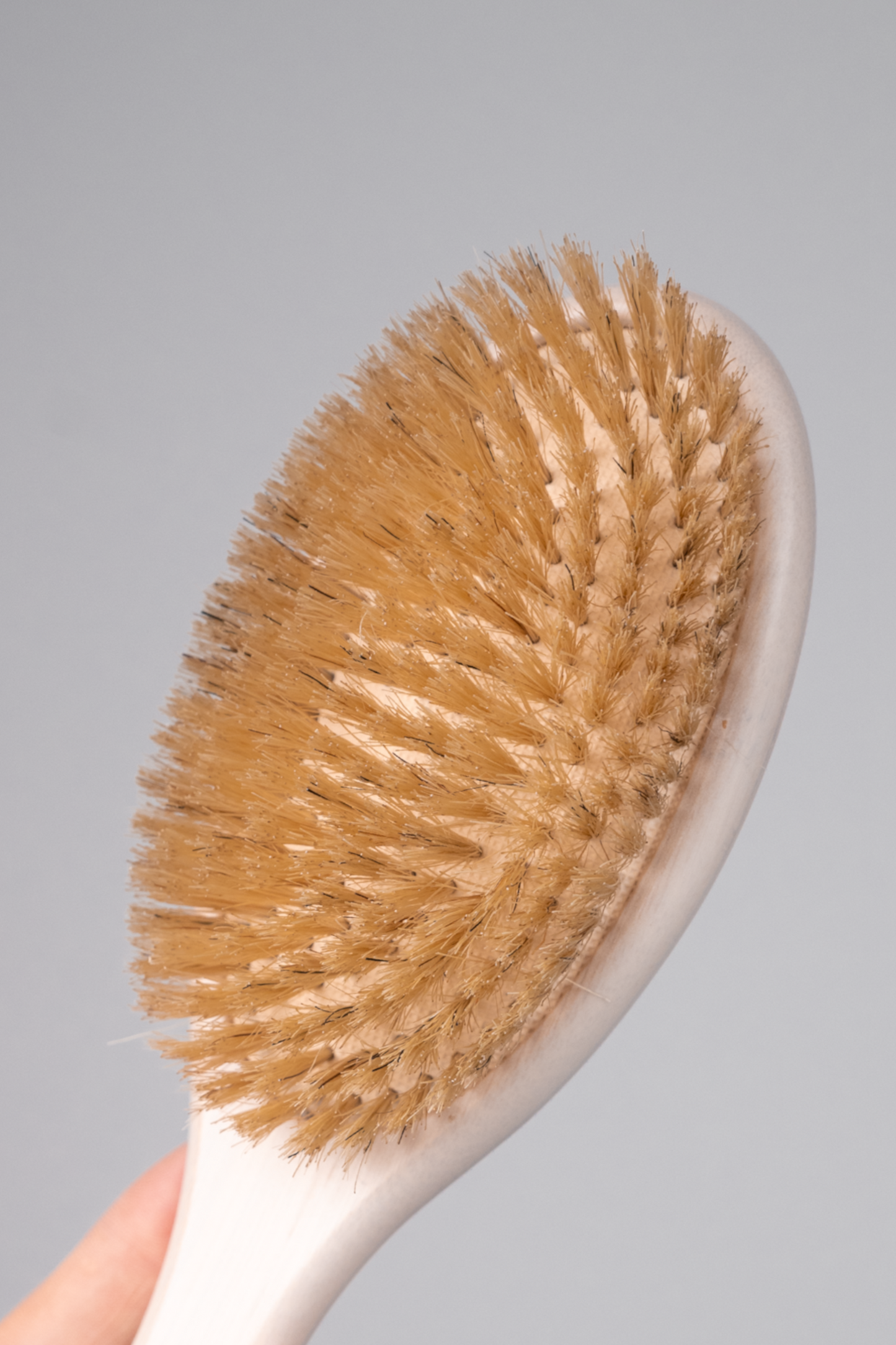 CEPILLO CON CERDAS DE JABALÍ