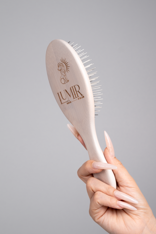 STEEL BRISTLE BRUSH AIR CUSHION