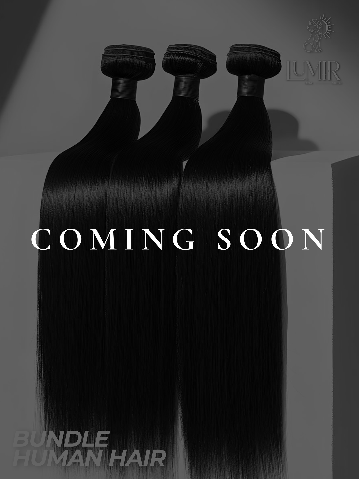 Bundle Human Hair